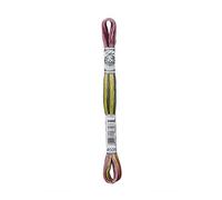 Dmc Matassina Filo Ricamo Coloris Moulinè Multicolore 517