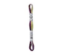 Dmc Matassina Filo Ricamo Coloris Moulinè Multicolore 517