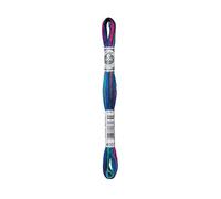 Dmc Matassina Filo Ricamo Coloris Moulinè Multicolore 517