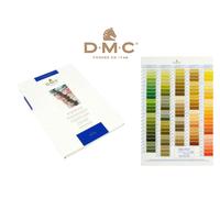 DMC Mazzetta Campioni Fili Con Vera Filatura Mouliné In Cotone Perlato Metallic