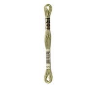 DmC 117 - 3013 Six Strand Embroidery Cotton Floss, Luce Verde Kaki, 8 m, Confezione da 12