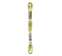 DMC Stranded cotone filo da ricamo 3348 - per matassa