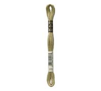 DMC Stranded cotone filo da ricamo 372 - per matassa