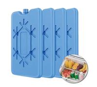 DmDoyy Pane di ghiaccio per borsa isotermica, blocchi refrigeranti riutilizzabili, 200 ml, 4 pezzi, borsa isolante, ultra sottile, ideale per attività all'aria aperta e per mantenere gli alimenti