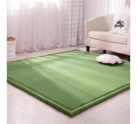 Dmkjdzsw Tappeto di Velluto Corallo Ispessimento,Tappeto Morbido Antiscivolo Moderno,Tatami Tappetino Antiscivolo,bambinoTappetino Gioco,Tappeto Lavabile a puzzle-F-60 * 180cm