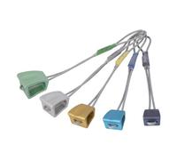 DMM Wallnut Set 7-11 Assorted - nuts Multicolor unisex