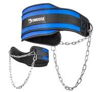 DMoose Cintura per sollevamento pesi - Cintura resistente con catena in acciaio per trazioni, squat, powerlifting e bodybuilding - Supporto in neoprene per allenamenti in palestra