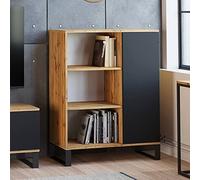 Dmora Buffet industriel avec 1 Porte et 2 étagères, Buffet avec Pieds en Métal, Buffet de Salon, bibliothèque avec étagères, 40x90h116 cm, Couleur Noir et érable