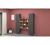 Dmora Credenza Fausto, Set da Soggiorno a 2 Ante e Ripiani, Buffet da Soggiorno, Madia da Cucina, 100% Made in Italy, cm 170x30h180, Antracite e Acero