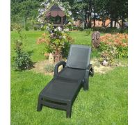 Dmora - Lettino prendisole Saturno, Sdraio da giardino regolabile con braccioli, Lettino da esterno, 100% Made in Italy, 190x46h70 cm, Antracite