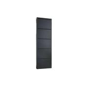 Dmora Scarpiera Isidro, Mobile portascarpe, Armadio da Ingresso Multiuso, Mobiletto per Calzature, 50x15h172 cm, Nero, 5 Scomparti