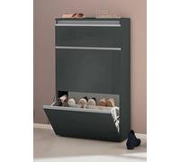 Dmora Scarpiera Paco, Mobile Multiuso a 2 Ante e 1 Anta a ribalta, Portascarpe da Ingresso, 100% Made in Italy, cm 60x27h108, Antracite Lucido