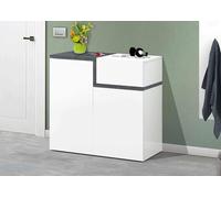 Dmora Scarpiera Ryan, Mobile Multiuso a 2 Ante e 1 Anta a ribalta, Portascarpe da Ingresso, 100% Made in Italy, cm 80x40h80, Bianco Lucido e Ardesia