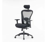 Dmora - Sedia da ufficio Auckland, Poltrona direzionale a rete con braccioli, Seduta ergonomica da ufficio, Cm 66x68h120/132, Nero