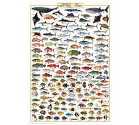 DMQBT 1500 Pezzi - Difficult Puzzles - Retro Fishs Illustrations - Giocattoli Per La Sfida Del Divertimento In Famiglia - Puzzles Per Adulti 1500 Pezzi - Jy388Zp