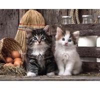 DMQBT 1500 Pezzi Puzzle Per Adulti - Cute Cat Immagini Difficult Puzzle - Large Puzzle Gifts Per The Family - Decorazione Della Casa - Jy438Zp