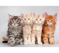 DMQBT 1500 Pezzi Puzzle Per Adulti - Cute Cat Immagini Difficult Puzzle - Large Puzzle Gifts Per The Family - Decorazione Della Casa - Jy440Zp