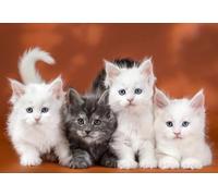 DMQBT 1500 Pezzi Puzzle Per Adulti - Cute Cat Immagini Difficult Puzzle - Large Puzzle Gifts Per The Family - Decorazione Della Casa - Jy437Zp