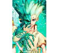 DMQBT 1500 Pezzi Puzzles - Colorato Puzzle - Classic Japanese Animes Dr.Stone Ishigami Pictures - Giocattolo Personalizzato Per Adulti Per Bambini - Hy145Yz