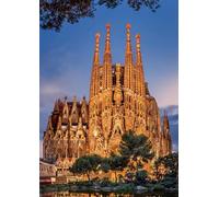 DMQBT 1500 Pezzi Puzzles - Fun Giocattolo Puzzle Personalizzato Per Adulti - Sagradas Familia Barcelona Landscape Immagini - Adults 1500 Pezzi - Vw206Zq