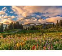 DMQBT 1500 Piece Puzzles Per Adults - Giocattoli Per Sfide Difficili E Divertenti In Famiglia - Rainier Mounts Scenery Pictures - Puzzle 1500 Pezzi Per Adults - Xu654Tw