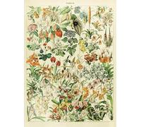 DMQBT Difficult Puzzle 1500 Pezzi Per Sfida Per Adulti - Poster Art Puzzles 1500 Pezzi - Flowers Vintage Illustrations - Family - Jy398Zp