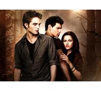 DMQBT Puzzle 1500 Pezzi - Poster - Difficult Puzzle - Classic Film Twilights - Immagine Artistica Di Un Gioco Antistress Per Adulti - Giocattoli Per La Sfida Del Divertimento In Famiglia - Xp111Qk
