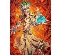 DMQBT Puzzles Per Adults 1500 Pezzi - Classic Dr.Stone Art Immagini - 1500 Pezzi Puzzles Per Adults - Giocattoli Educativi Per Bambini - Hx06Zw