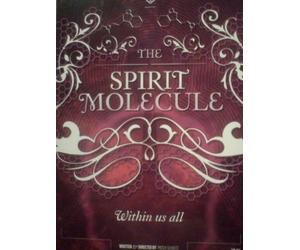 DMT: The Spirit Molecule DVD (NTSC)