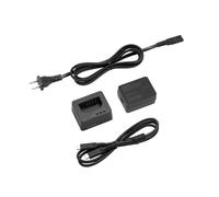 Panasonic Caricabatterie DMW-BTC15 Originale per Lumix S5 DMW-BLK22
