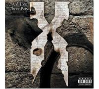 DMX... E poi c'era X Tower Records Limited Black Ice Vinyl
