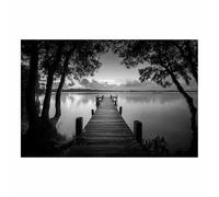 DMZPKZB quadri bianco e nero Il vento del ponte sul lago Grande Quadro Su Tela,moderni soggiorno da Parete Decorazione,per bagno Soggiorno Corridoio Ufficio(Bianco e nero)-80x120cm Non incorniciato