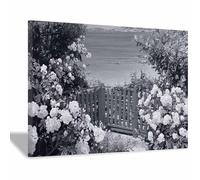 DMZPKZB quadri da parete Costa dei fiori quadro bianco e nero,Pittura moderna Stampa su tela Arte,per Soggiorno e la Camera da Letto Decorazione Murale(Bianco e nero)-80x120cm Incorniciato
