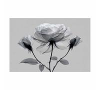 DMZPKZB quadri da parete Rose trasparenti quadro bianco e nero,Pittura moderna Stampa su tela Arte,per Soggiorno e la Camera da Letto Decorazione Murale(Bianco e nero)-60x90cm Non incorniciato
