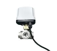 DN15 3 Way 304 Acciaio inossidabile IP65 impermeabile motorizzato valvola a sfera 220V 12V 24V 3-Wire 2 controllo T Tipo valvola a sfera elettrica (DN20,220V_CR02)
