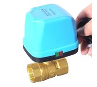 DN15 DN20 DN25 DN32 AC220V Acqua elettrica a 2 vie in ottone motorizzato valvola a sfera tipo bidirezionale HVAC 1/2 "3/4" 1" 2" valvole (DN20)