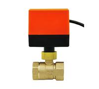 DN15 DN20 DN25 DN32 DN40 DN50 Valvola Motorizzata AC220V AC24V DC12V 2 vie ottone valvola sfera motore del Attuatore (AC220V DN20)