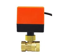 DN15 DN20 DN25 DN32 DN40 DN50 Valvola Motorizzata AC220V AC24V DC12V 2 vie ottone valvola sfera motore del Attuatore (AC24V DN15)