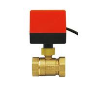 DN15 DN20 DN25 DN32 DN40 DN50 Valvola Motorizzata AC220V AC24V DC12V 2 vie ottone valvola sfera motore del Attuatore (DC12V DN25)