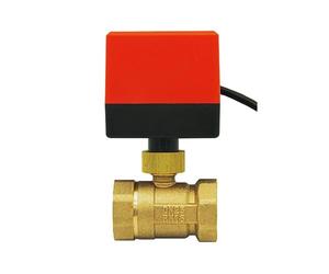 DN15 DN20 DN25 DN32 DN40 DN50 Valvola Motorizzata AC220V AC24V DC12V 2 vie ottone valvola sfera motore del Attuatore (DC12V DN25)