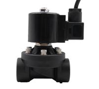 DN15 DN20 DN25 Valvola solenoide subacquea normalmente chiusa o aperta in plastica PA66 AC220V DC24V Grado di impermeabilità IP68 G(NPT-DC 24V-NORMALLY OPEN)