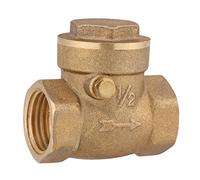 DN15 One Way Water Valve, BSP Thread, Prevents Backflow for Plumbing Pump System