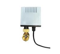 DN32/DN40/DN50 AC 220V Valvola a sfera con filettatura elettrica in ottone 2 attraverso 3 linee Valvola a solenoide for acqua DC 12V 24V(Dn40,12V-3 WAY)