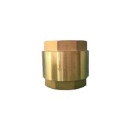 DN65 G 2-1/2" BSPP Female Thread Brass Spring Check Valve One Way Height 88mm