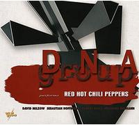 DNA Group - Performs Red Hot Chili Peppers
