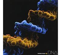 DNA - MONKEY MAJIK