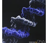 DNA - MONKEY MAJIK