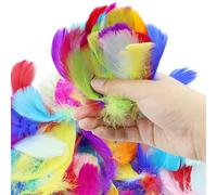 DNDGDLUA Set di 500 piume colorate, piume artistiche, piume naturali, piume artistiche, piume soffici di colori misti, per lavori manuali, feste, decorazioni, cappelli o capelli.