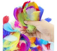 DNDGDLUA Set di 500 piume colorate, piume artistiche, piume naturali, piume artistiche, piume soffici di colori misti, per lavori manuali, feste, decorazioni, cappelli o capelli.