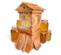 DNEPEI Kit di avviamento per Apicoltura in Stile Flow Hive, Kit di avviamento per arnia Completo con Finestra di osservazione Trasparente e beccuccio per Miele a Rilascio Facile